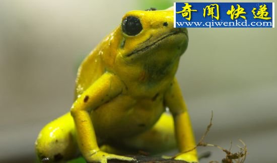 (ͼ)̵Ȼ10εĶɱ