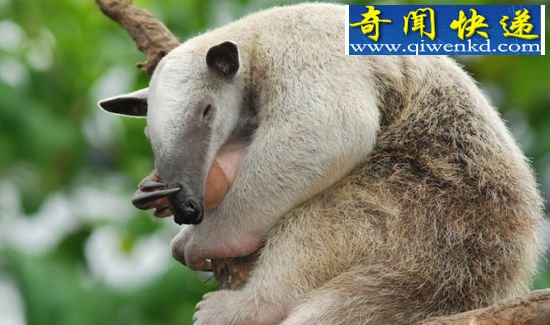 (ͼ)̵Ȼ10εĶɱ