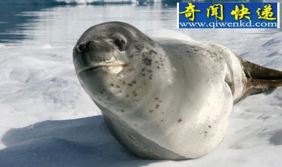 (ͼ)̵Ȼ10εĶɱ