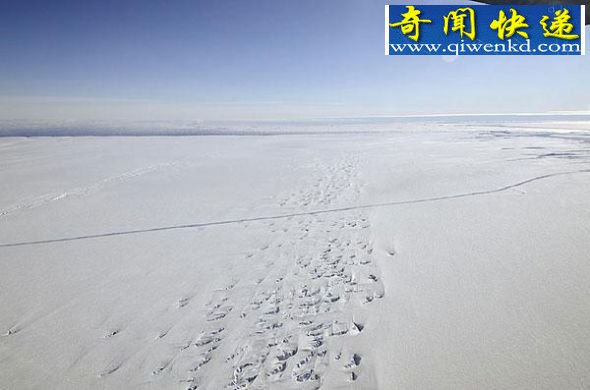 2011年10月,美国宇航局“冰桥计划”在南极西部松岛冰川发现一道巨型冰裂隙 (图)南极发现29公里长冰川裂缝:将形成巨型冰山