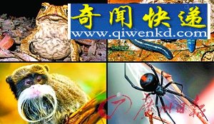 (图)动物同类相食原来有理