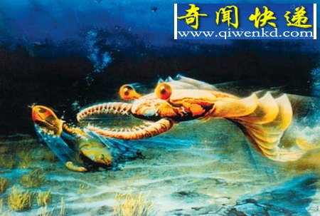 海洋霸主之寒武纪之巨虫横行 奇虾(图)