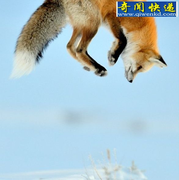 (ͼ) ҰڿԾǱѩ˲