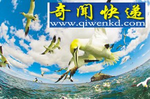 ͼӥͷ Ӣʦ辶 