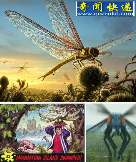 (图)全球10大巨型昆虫盘点