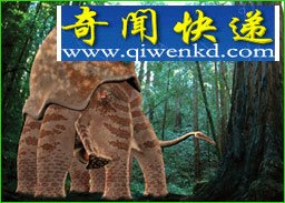 2亿年后新物种大预言