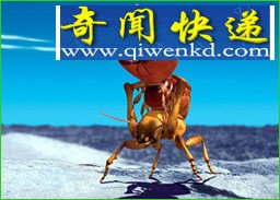 2亿年后新物种大预言