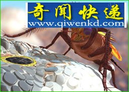 2亿年后新物种大预言