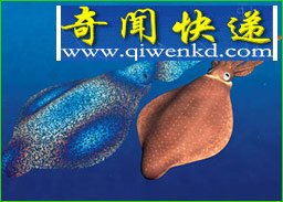 2亿年后新物种大预言
