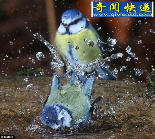 С˯ǰϴ衱 ץɽȸԡ˲