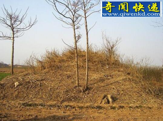 吕布墓现世,昔日战神被葬在破旧山村
