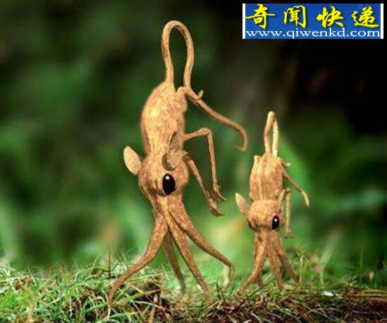 жﾹʵڣ֫˻ñ