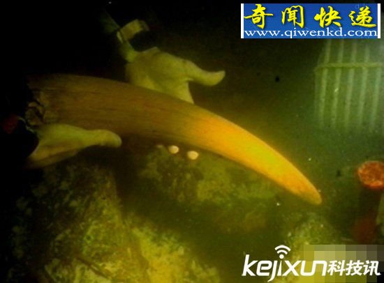 六大水下考古发现 土耳其格里多亚角沉船