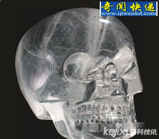 考古学家收藏七颗头骨 每一颗价值不菲
