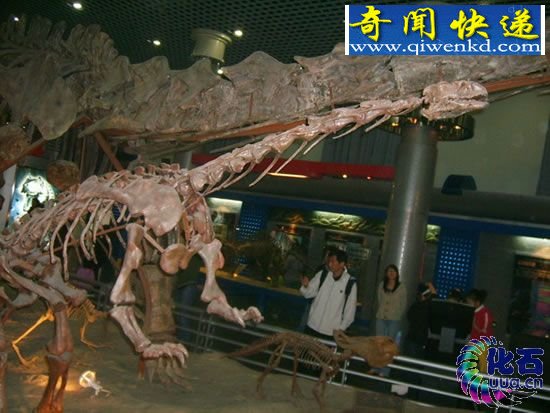 盘点中国恐龙