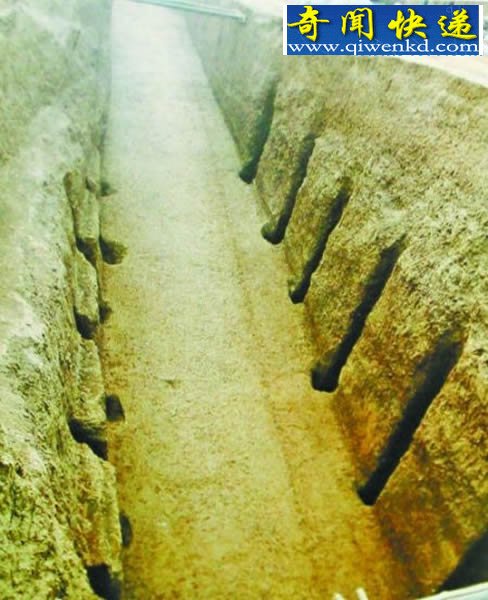 洛阳发掘北魏节闵帝元恭墓 出土东罗马帝国金币