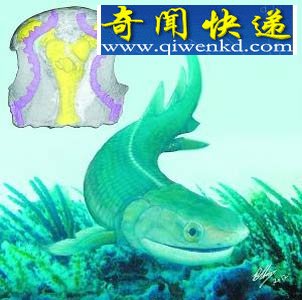  㶯ݻʷǰ1ǧ