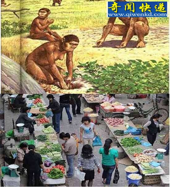 石器时代存在“技术革命”吗？