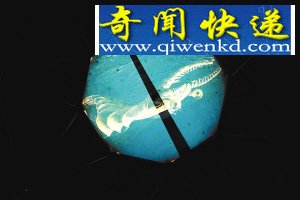 ﻯʯ