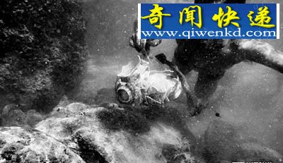 海洋版“盗墓笔记”