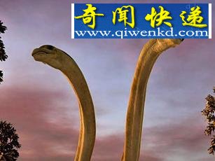 ̵ʷǰ5ֹ:Ϫż