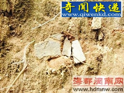 点图查看下一页 南靖发现两处商周遗址 遗址中发现较多陶片(图)