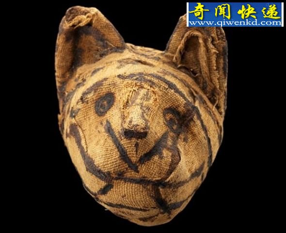 一个用猫制作的木乃伊的头部 考古发现古埃及曾将数百万动物制成木乃伊(图)