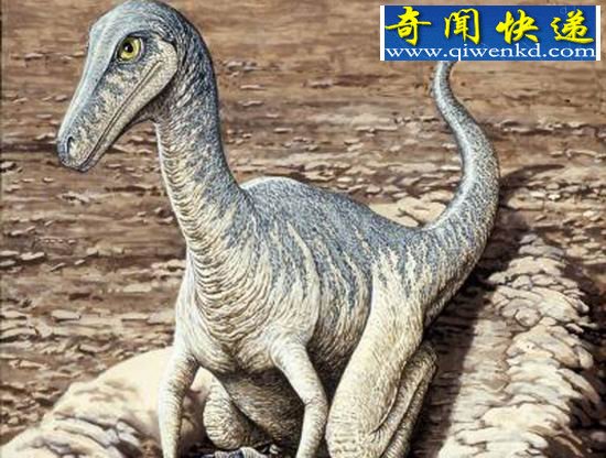 (图)专家通过化石发现远古北极存在“短寿恐龙”
