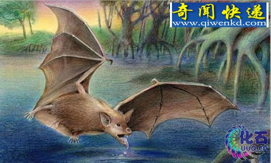(ͼ) ޷ǧǰľ޴峤