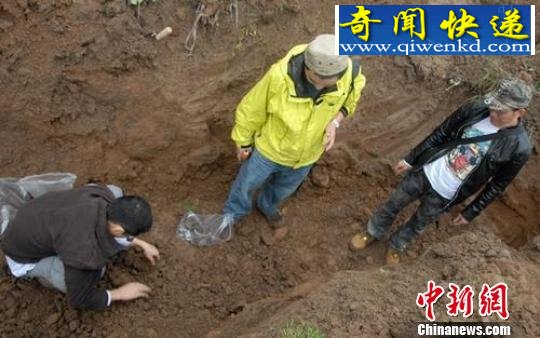 �Ĵ������״η�������ʱ����ַ����������ַ