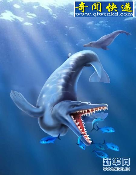 这是科学家模拟的4900万年前生活在南极海域的鲸的形象。 (图)南极发现4900万年前鲸化石