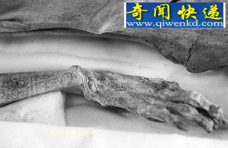 ��ͼ��̽����������������ʮ���Ĺ