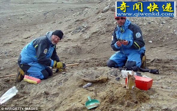 在现场进行发掘工作的科学家们 (图)古生物学家们发现欧洲史上最完整的肉食恐龙化石