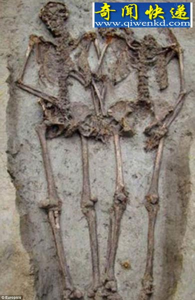 ��ǧ��ǰ����Ĺչ�ָ��˳���������������ǣ��