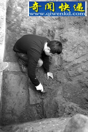 (ͼ)�����̼�ƺ��Ĺ���սҿ�Ĺ�� ��Ĺ�����������ɼ�