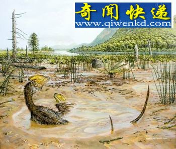 (ͼ)���ŷ���С�����������ӡ���Ȼ�Ǵ������ӡ