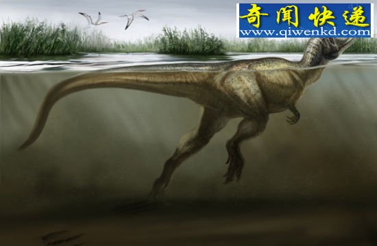 (图)中国发现首例恐龙游泳化石证据
