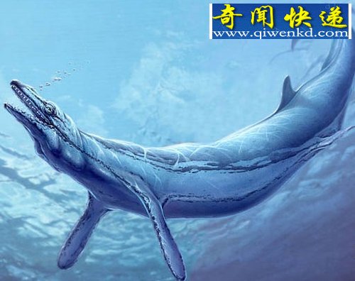 (ͼ)����ѧ���ϼ����ֹ��Ϻ��ֻ�ʯ