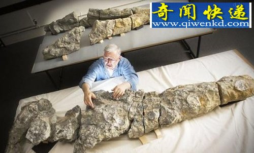 (ͼ)����ѧ���ϼ����ֹ��Ϻ��ֻ�ʯ