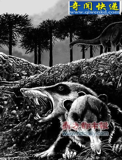 ʷǰ���鶯�ﻯʯ��������ſհ�