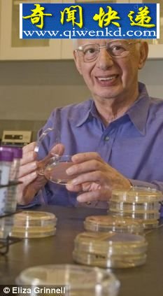 ��������ͼ̹����Ĺ����ȫ�·���:��Ϊ��æ������