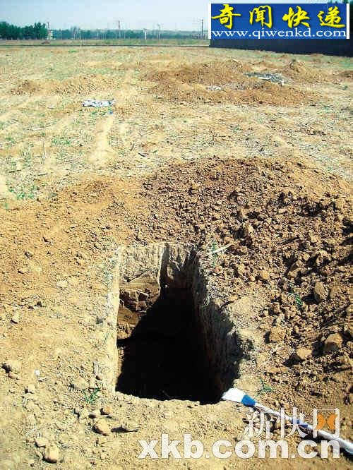 ������Ĺ ��������ĹʮĹ���ѿ�