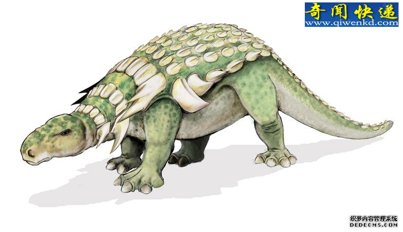 ������ѧ�ҷ������������ʯ �����������е���