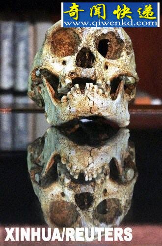 ����ѧ���������İ��������ʯ����