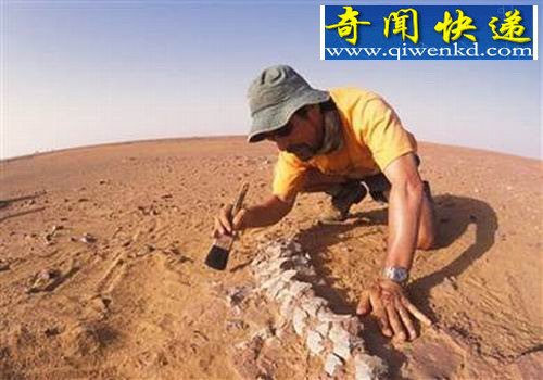 ����ѧ���������İ��������ʯ����