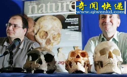 ����ѧ���������İ��������ʯ����