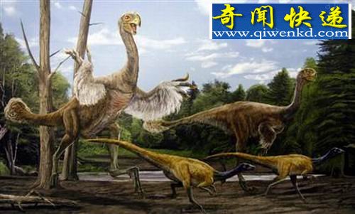 ����ѧ���������İ��������ʯ����