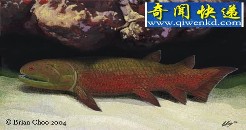 ����ѧ���������İ��������ʯ����