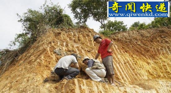  �����ͨ�����������ι�Ĺ