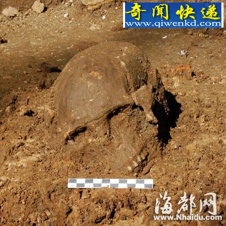 漳平出土福建版“山顶洞人” 距今一万多年
